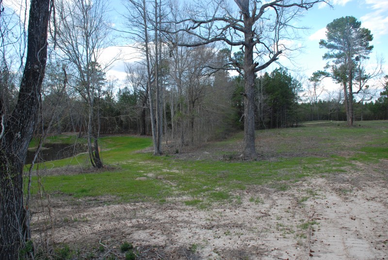 West Cross Lake Tract Shreveport, Louisiana Land For Sale