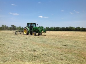 Raking Hay in Southwest Arkansas