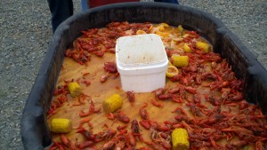 Belly Up to the Crawfish Bar