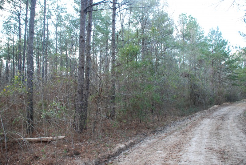 West Cross Lake Tract Shreveport, Louisiana Land For Sale