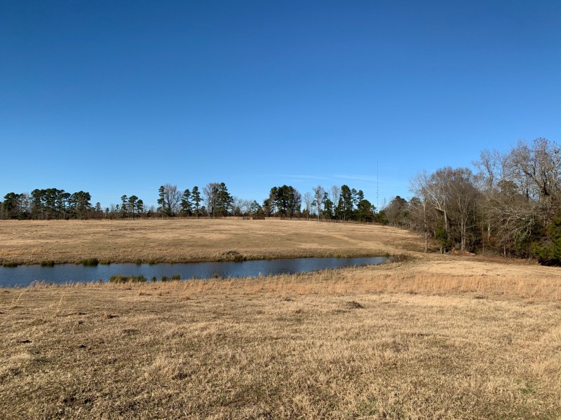 Carraway Ranch 120 of Miller County Brightstar, Arkansas Land For Sale