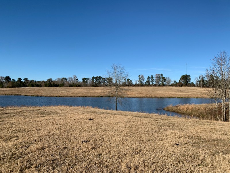 Carraway Ranch 120 of Miller County Brightstar, Arkansas Land For Sale