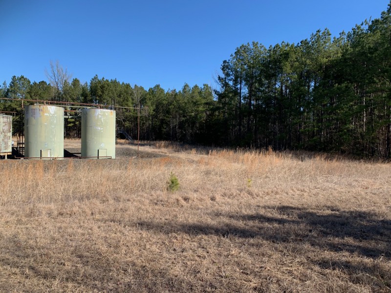 Beshea Claiborne 20 Haynesville, Louisiana Land For Sale