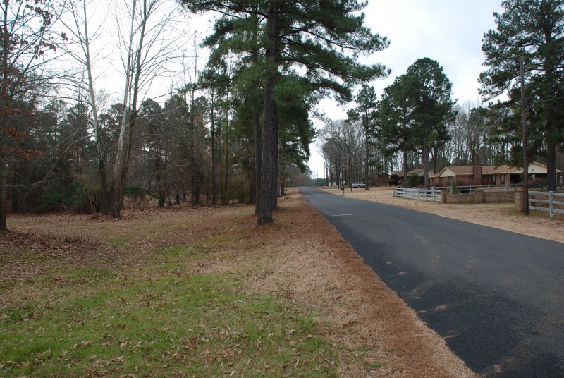 Piney woods ford springhill louisiana