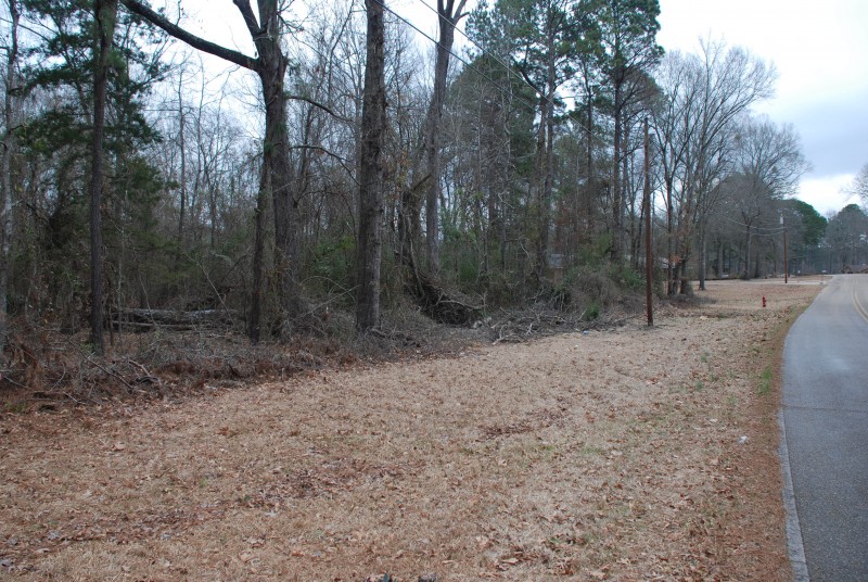 Piney woods ford springhill #2