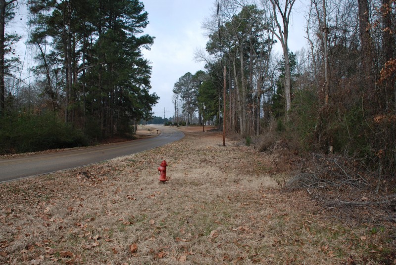Piney woods ford springhill #9