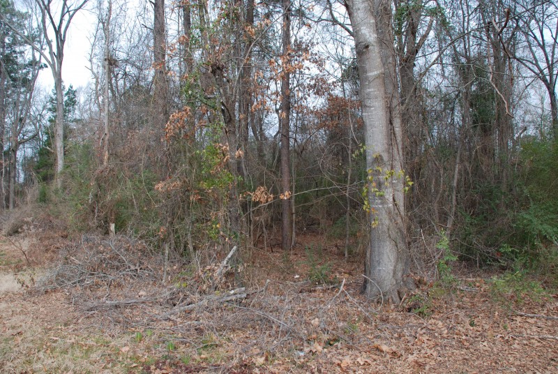 Piney woods ford springhill #10