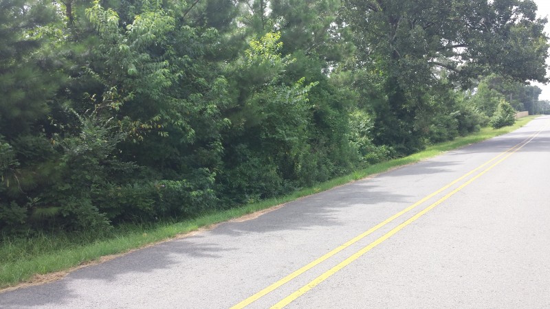 Piney woods ford springhill louisiana #7