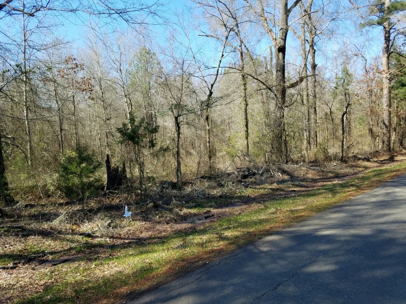 Kilgore 10 Tract of Bossier Parish Plain Dealing, Louisiana Land For Sale